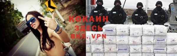 трава Корсаков