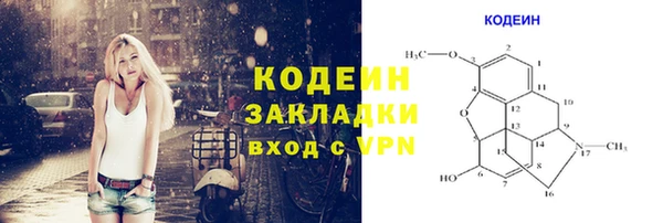 сатива Кохма