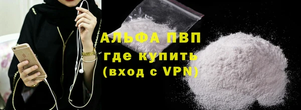 трава Корсаков