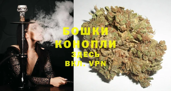 тгк Коряжма