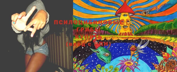 трава Корсаков