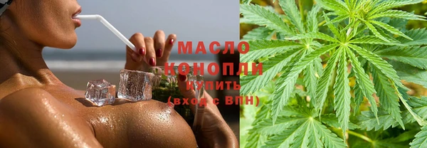 трава Корсаков