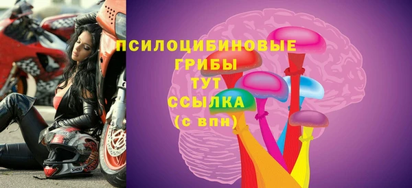 спайс Костерёво