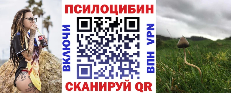 сколько стоит  мега ссылка  Псилоцибиновые грибы мухоморы  Новодвинск 