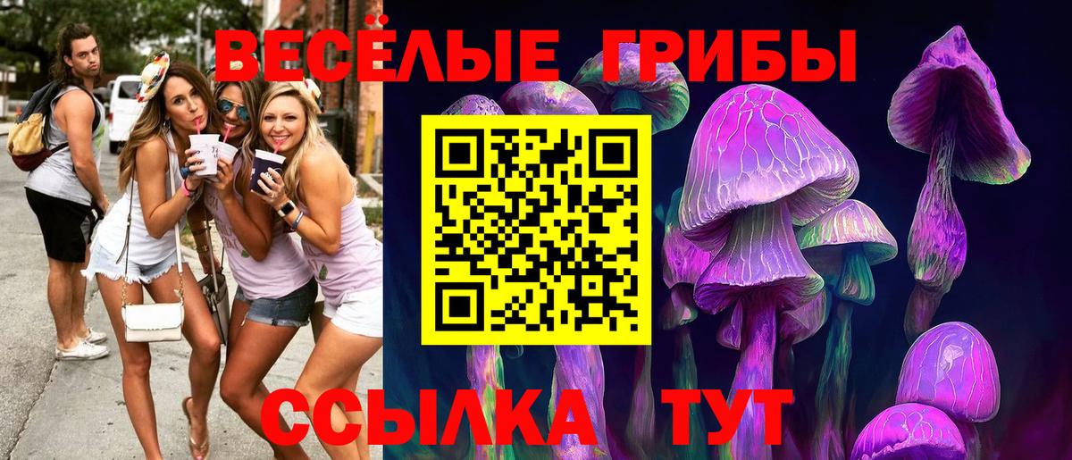 Галлюциногенные грибы прущие грибы Новодвинск