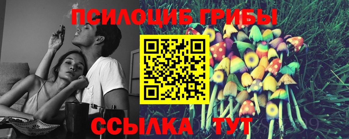 Новодвинск  Галлюциногенные грибы Psilocybine cubensis  Вход с VPN 