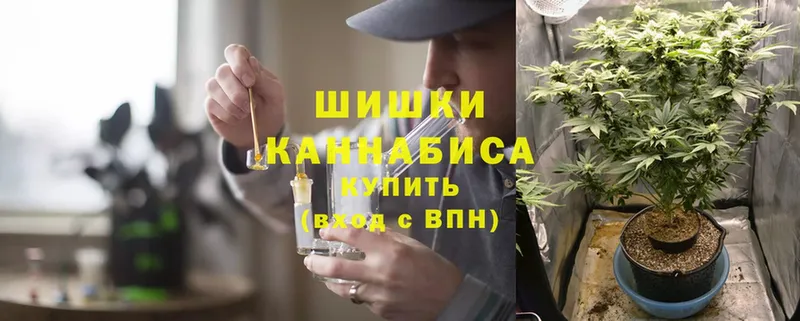 Канабис LSD WEED  omg ссылка  Новодвинск 